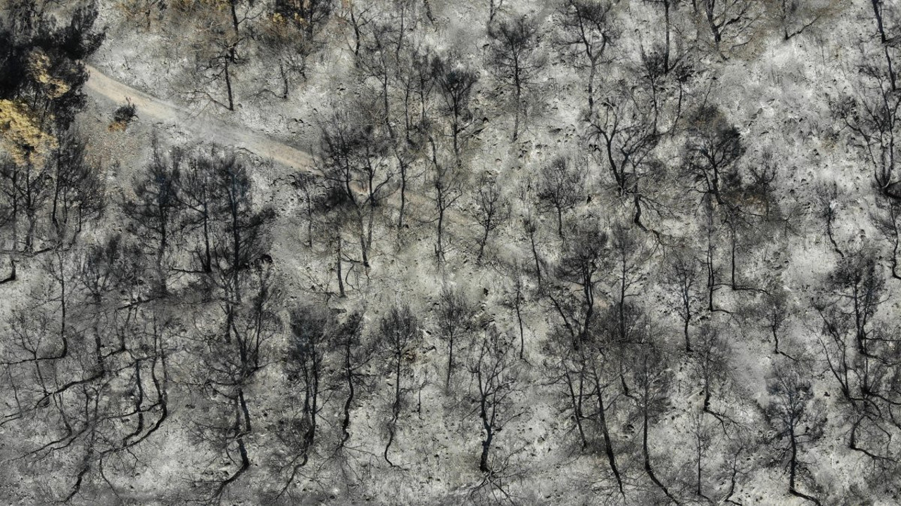 Manisa'da 14 evi kül eden orman yangınına ilişkin 1 kişi tutuklandı