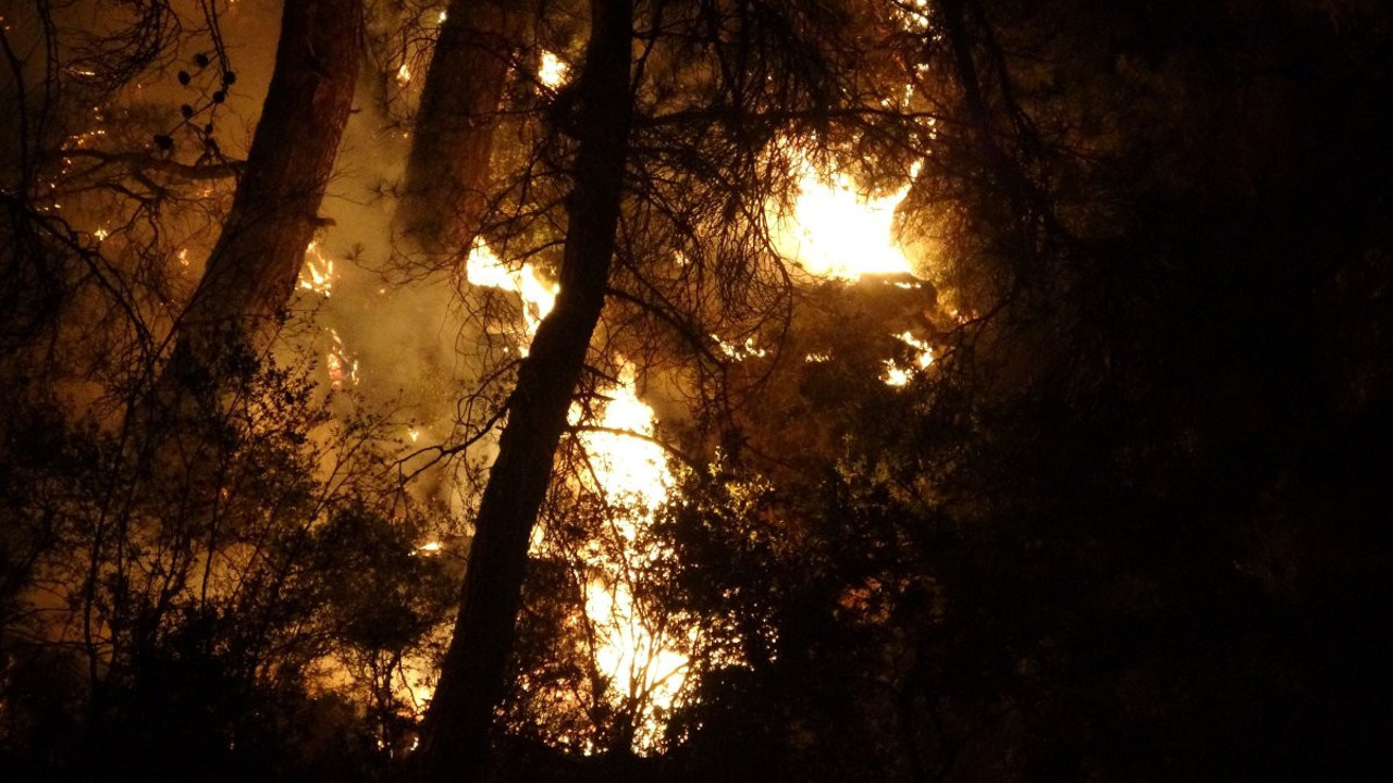 Çanakkale’de orman yangını (27 Temmuz 2023)