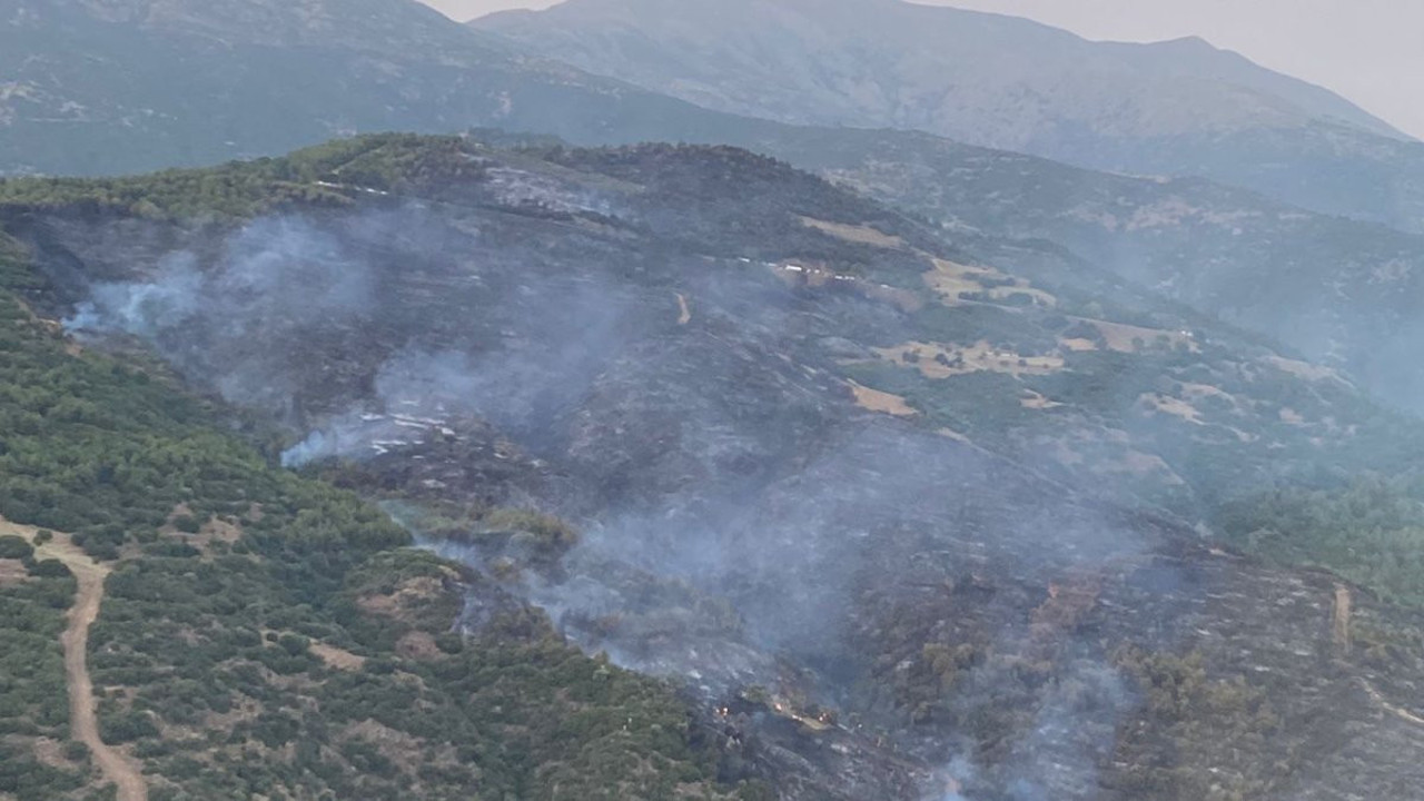 Ödemiş'te orman yangını