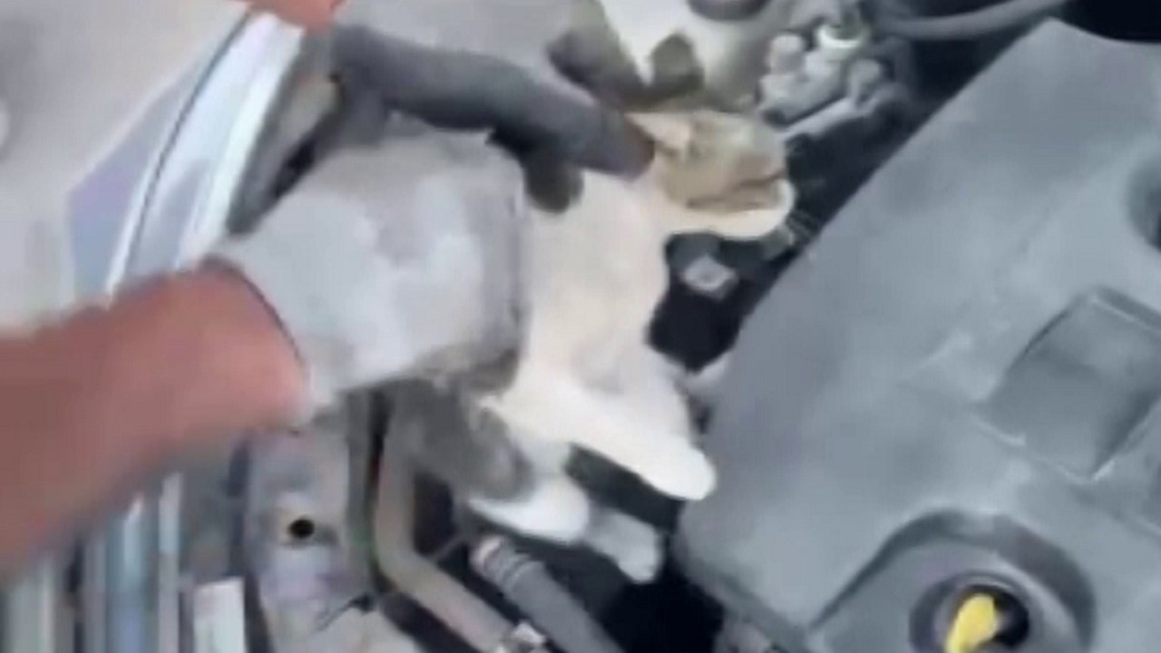 Aracın motor kısmında mahsur kaldı itfaiye kurtardı