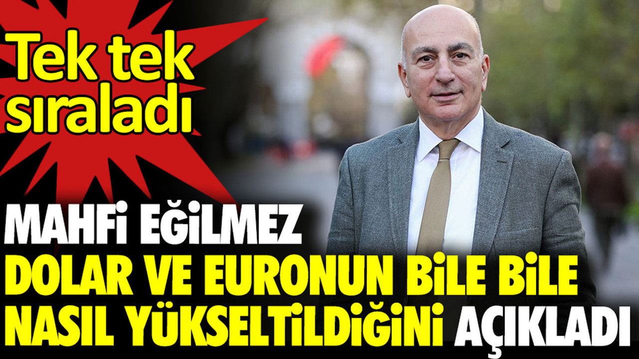 Mahfi Eğilmez dolar ve euronun bile bile nasıl yükseltildiğini açıkladı