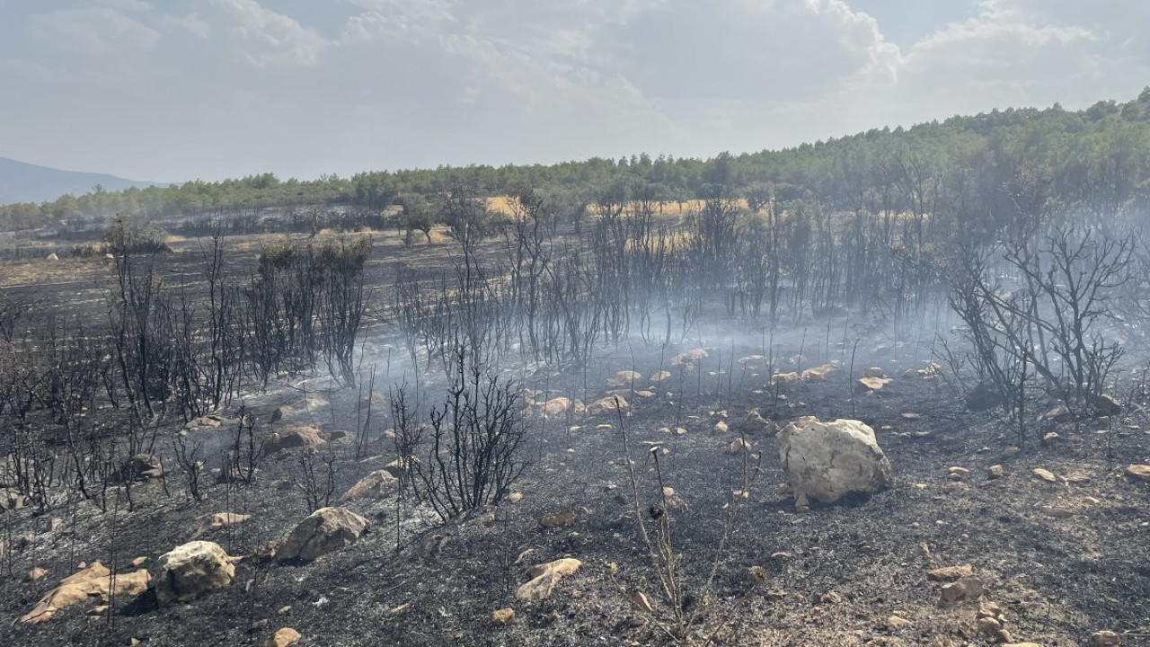 Isparta'da tarlada çıkan yangın ormana sıçradı