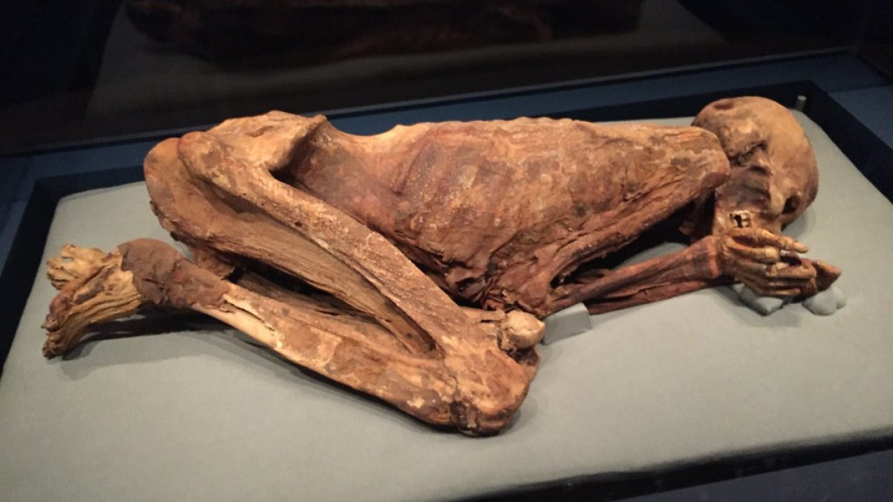 İngiltere'de tarihin en eski mumyasına büyük ilgi