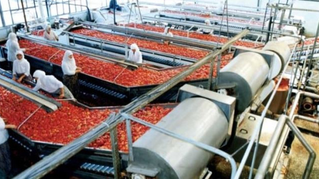 Türkiye'nin dev şirketinin satışında yeni gelişme. İki firma teklif verdi