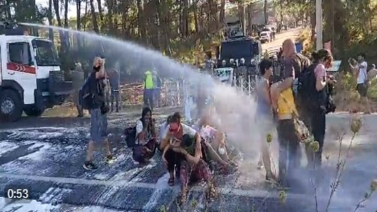 Yörükler en yaşlı ağacı helallik alarak keserler. Bir de Akbelen'de yapılan katliama bakın