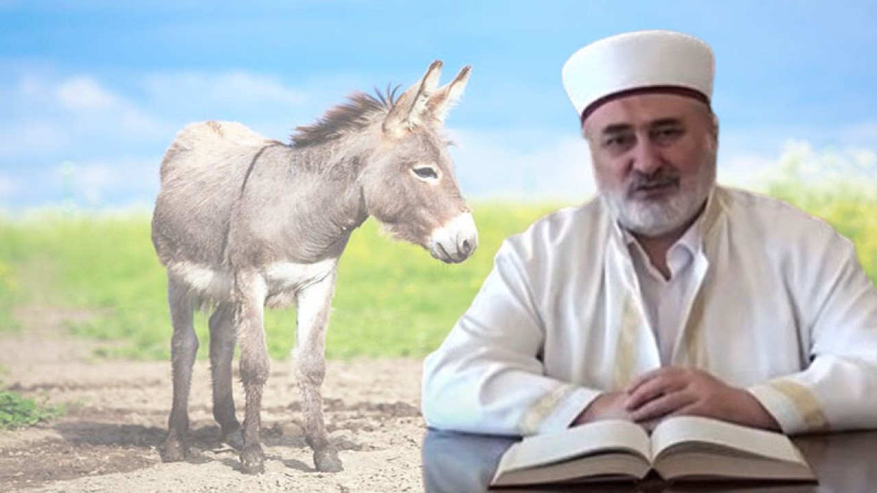 Ankara Müftüsü Hasan Çınar’dan 'eşek' fetvası