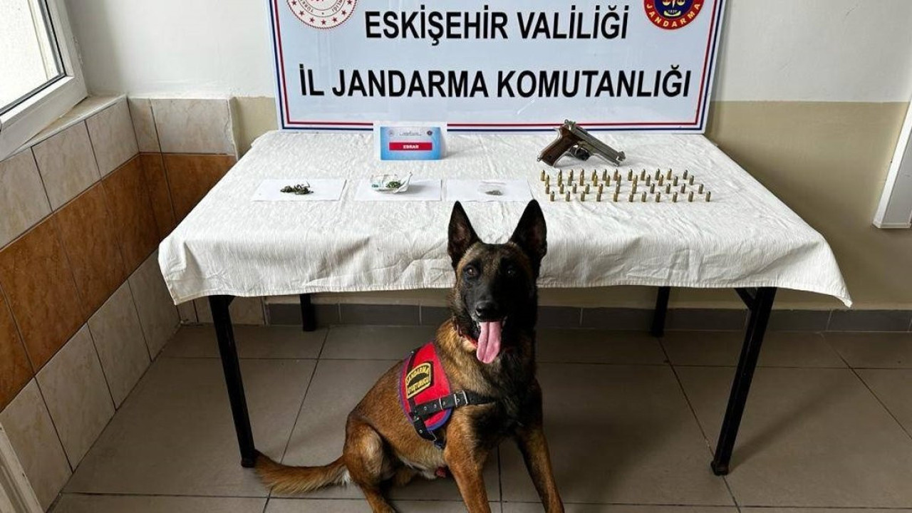 Mezarlıkta kenevir yetiştirdiler