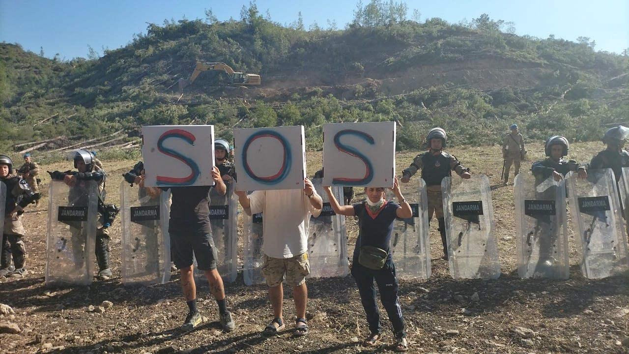 Çevre Mühendisi Deniz Gümüşel: Akbelen’de budama değil katliam yapılıyor
