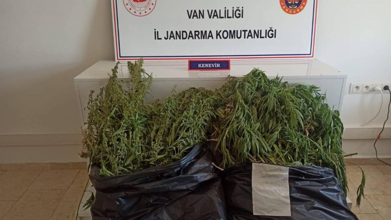 Van'da Hint keneviri operasyonu düzenlendi