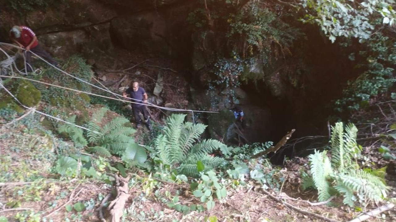 Mağaraya düşen dana güçlükle kurtarıldı