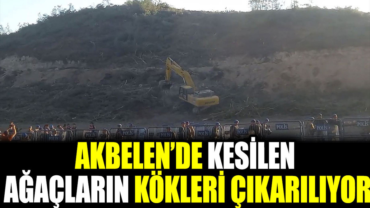 Akbelen’de kesilen ağaçların kökleri çıkarılıyor