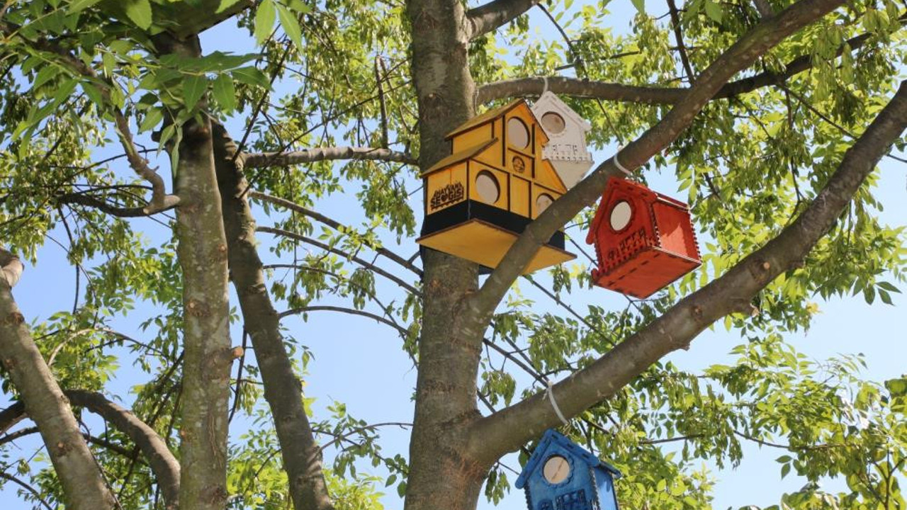 Serdivan’ın parklarını kedi ve kuş evleri süsledi