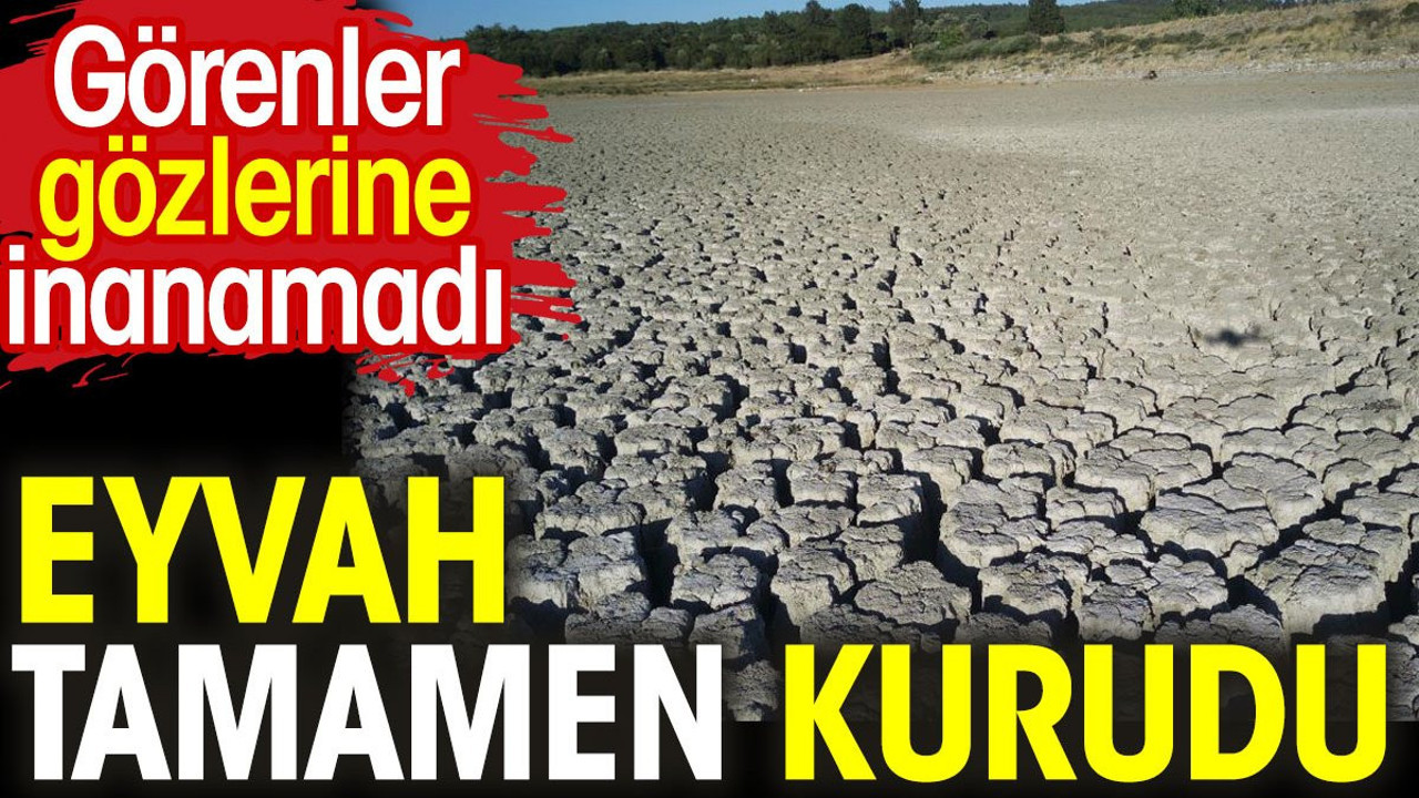 Eyvah tamamen kurudu. Görenler gözlerine inanamadı