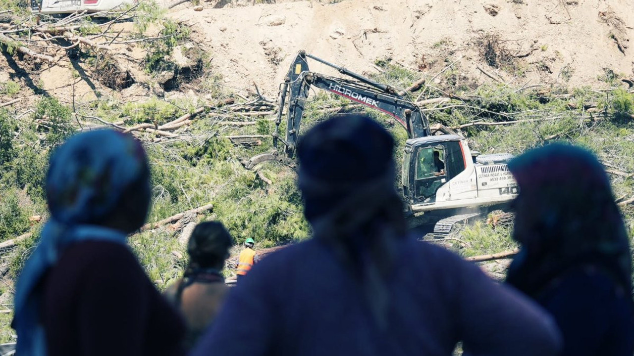Akbelen’de kesilen ağaçların toplanmasını köylüler çaresizce izledi
