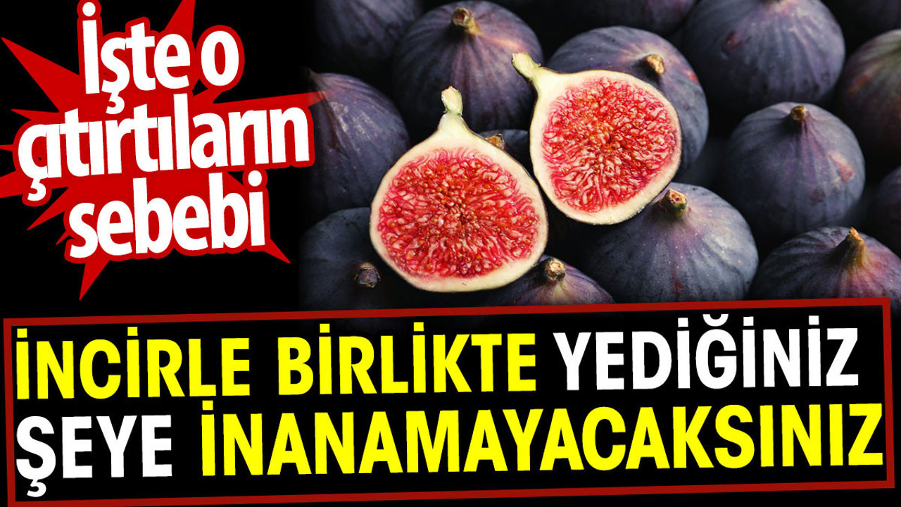 İncirle birlikte yediğiniz şeye inanamayacaksınız. İşte o çıtırtıların sebebi
