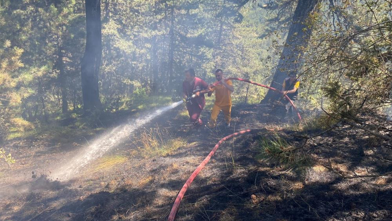Bolu’daki orman yangını söndürüldü