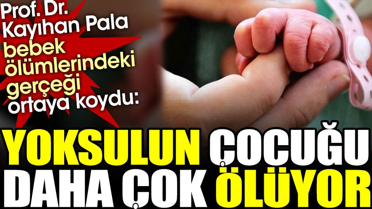 Prof. Dr. Kayıhan Pala: Yoksulun çocuğu daha çok ölüyor