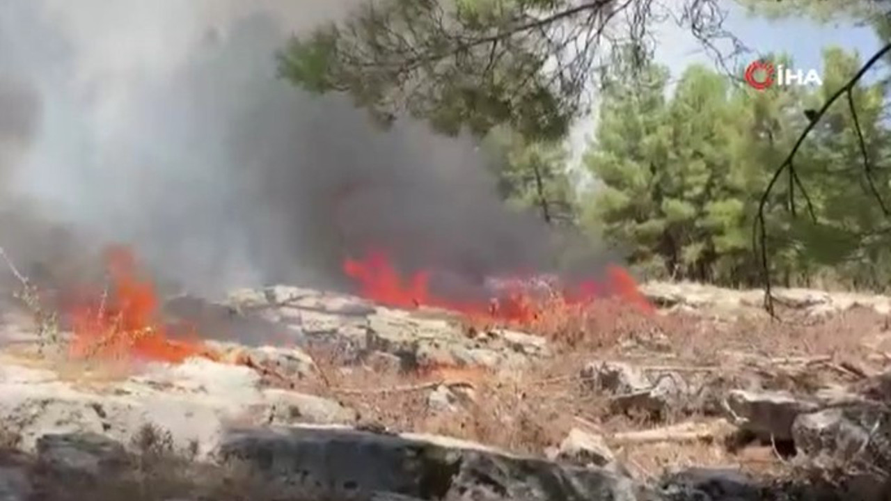 Adıyaman'da orman yangını (05 Ağustos 2023)