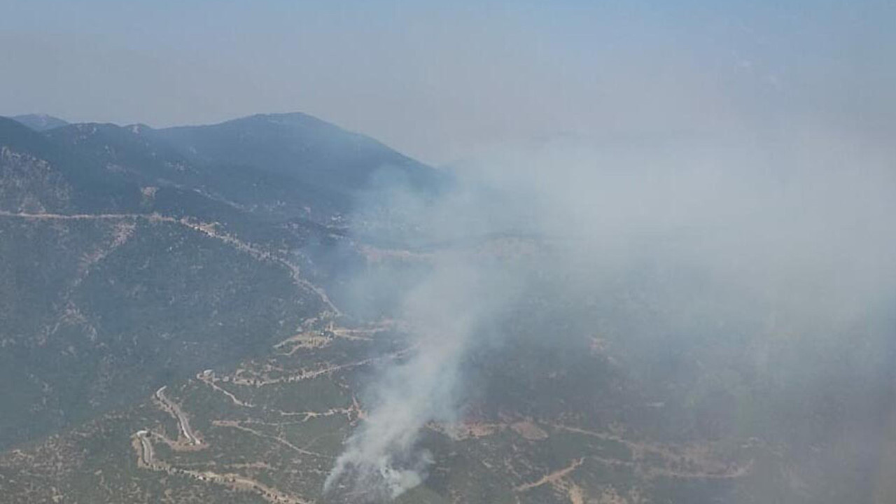 İzmir'de otomobilde çıkan yangın ormana sıçradı