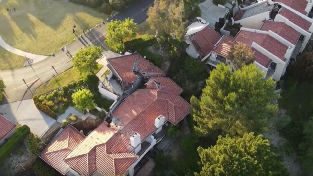 Korona yayması için üretilen bin fare kaçak laboratuvarda ele geçirildi