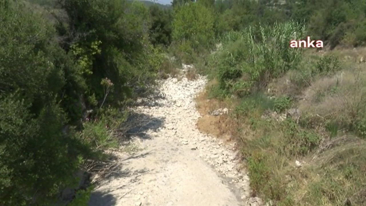 Bodrum’un su kaynağını maden için yok ediyorlar. Çevre katliamında sınır tanımıyorlar