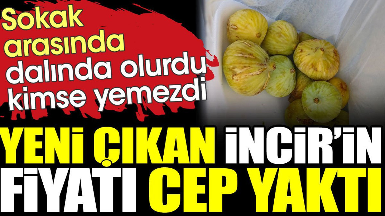 Yeni çıkan İncir'in fiyatı cep yaktı