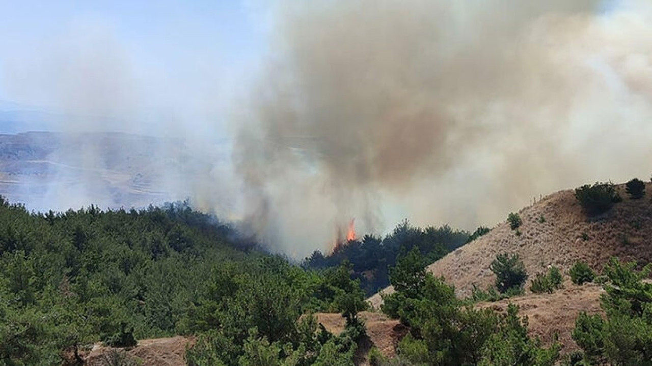 Manisa'da orman yangını (07 Ağustos 2023)