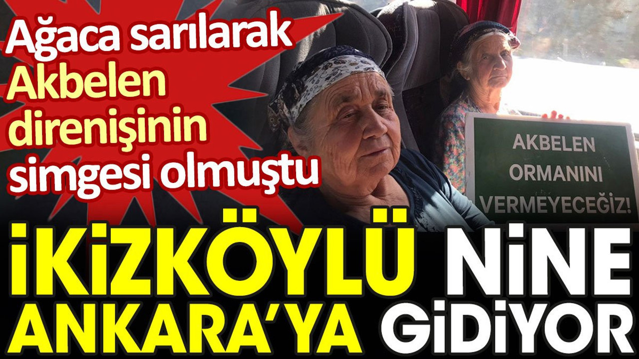Ağaca sarılarak Akbelen direnişinin simgesi olmuştu. İkizköylü nine Ankara'ya gidiyor