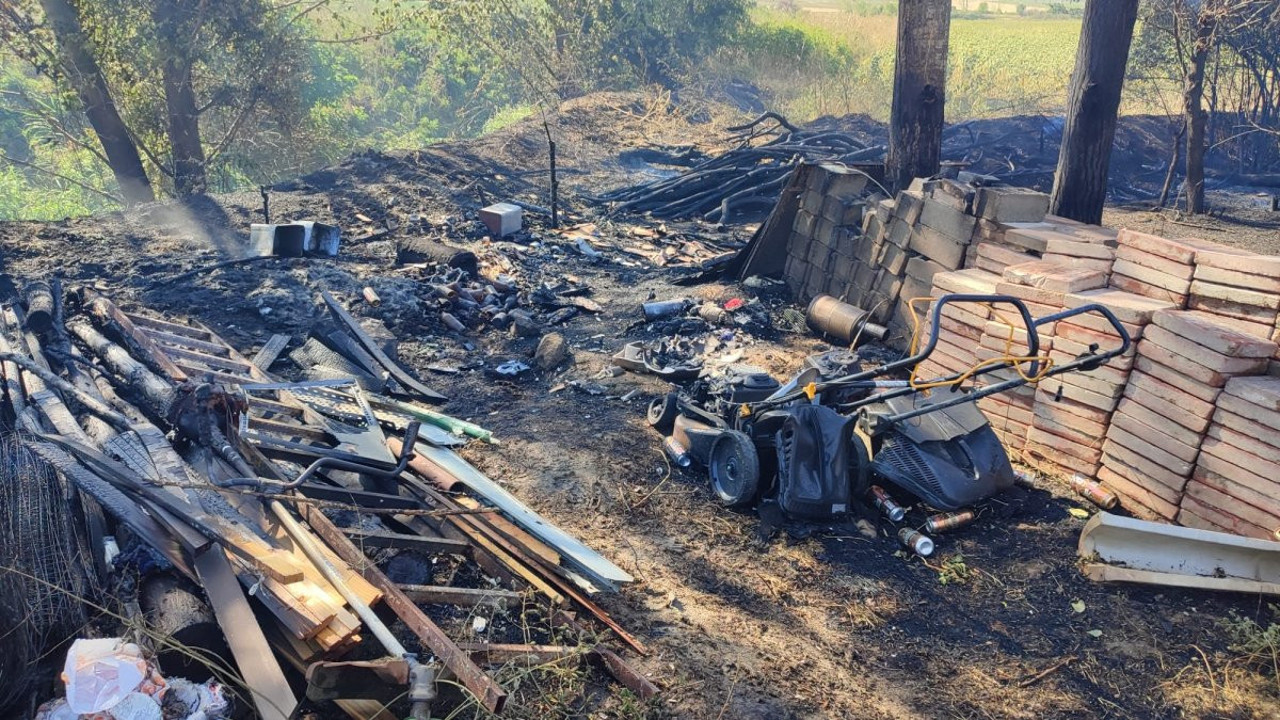 Mangal sevdası ormanı yakıyordu