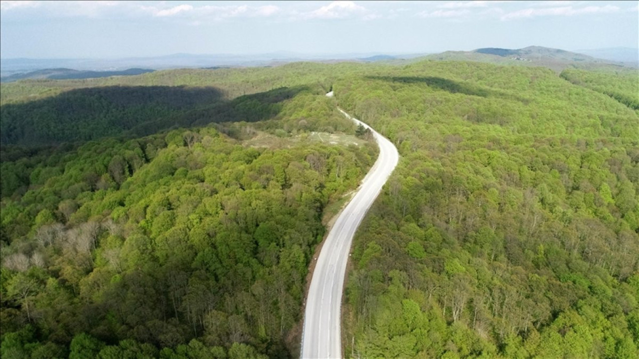 Trakya'da 7 ayda 126 hektar ormanlık alan yangınlarda zarar gördü (09 Ağustos 2023)