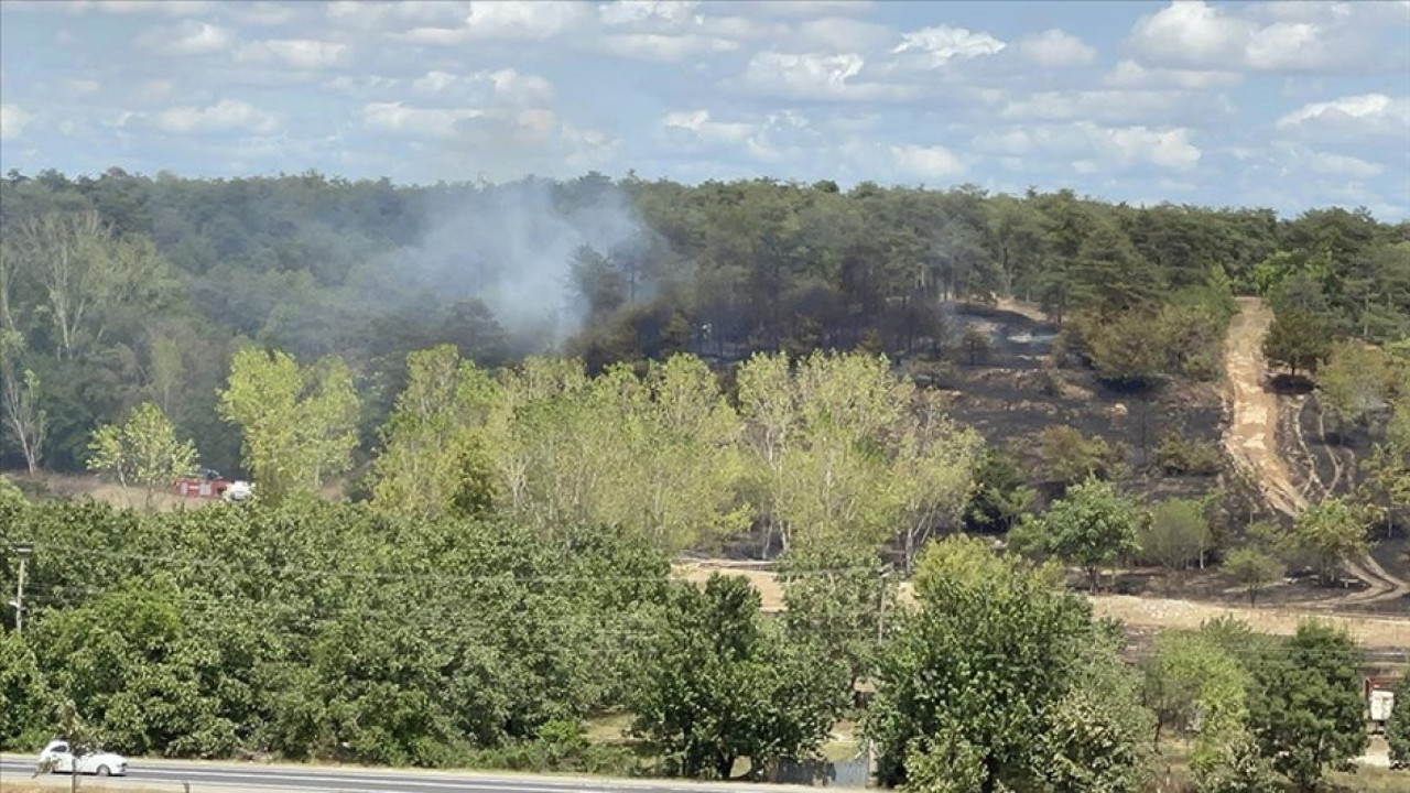 Çorlu'da ormanlık alanda çıkan yangın söndürüldü