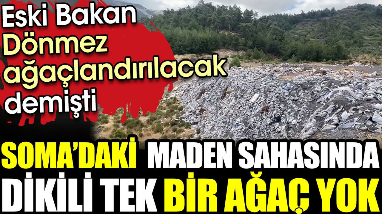 Eski bakanın ağaçlandırılacak dediği maden sahasında tek bir ağaç bile yok