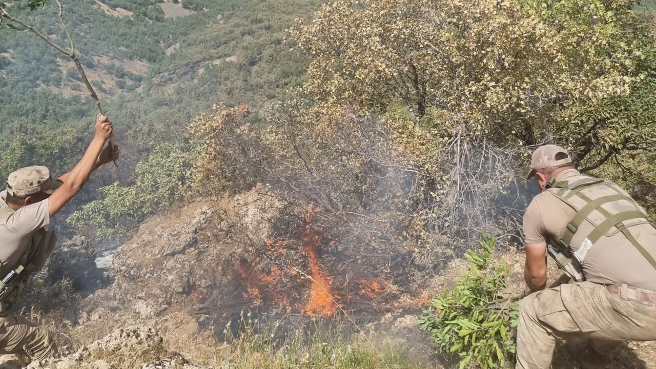 Orman yangını 52 saatte söndürüldü