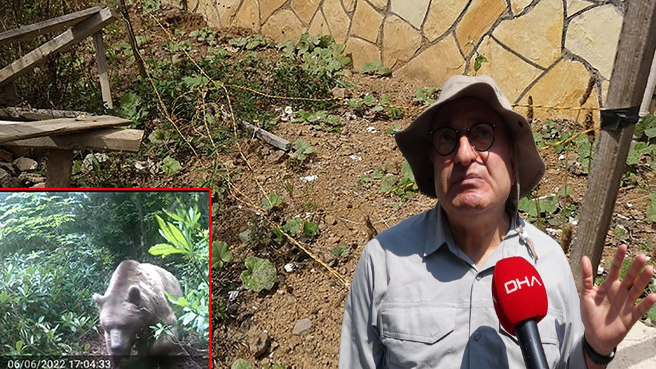 Prof. Dr. Kadıoğlu: Ayım kayboldu, hükümsüzdür. Önlem aldı bozayıdan kurtuldu köyün diline düştü