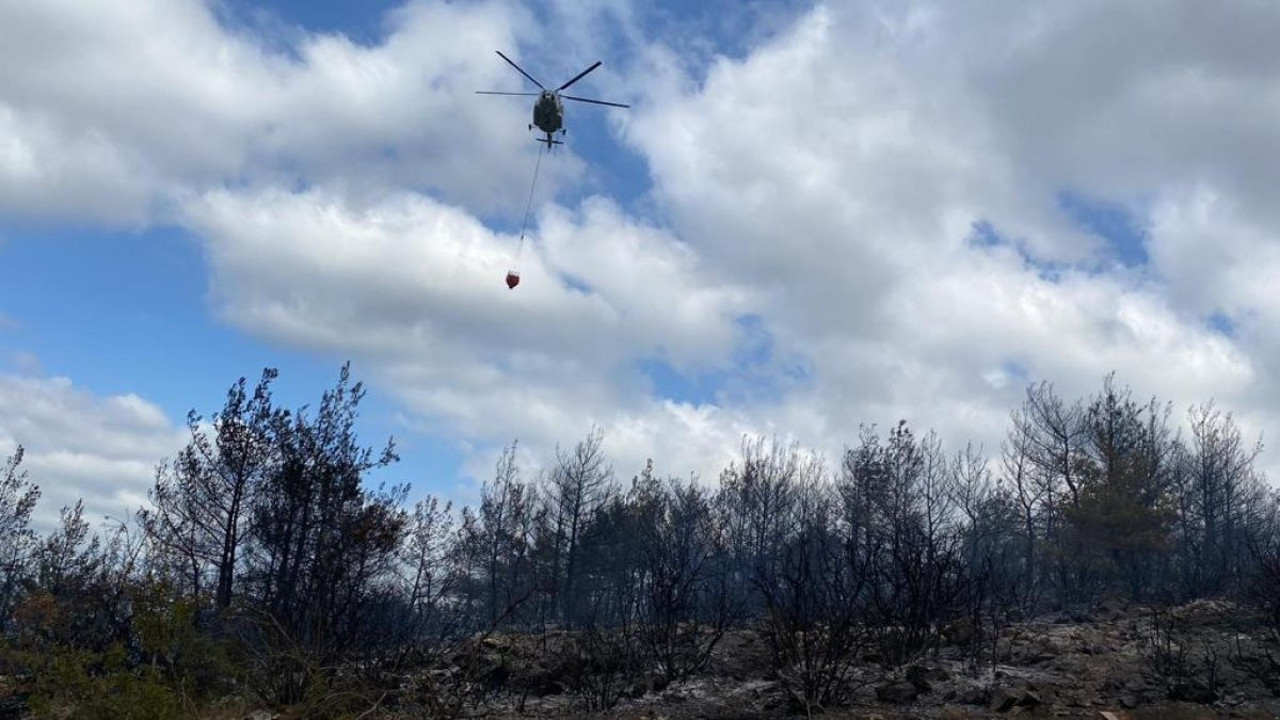Çanakkale'deki orman yangını kontrol altına alındı (13 Ağustos 2023)