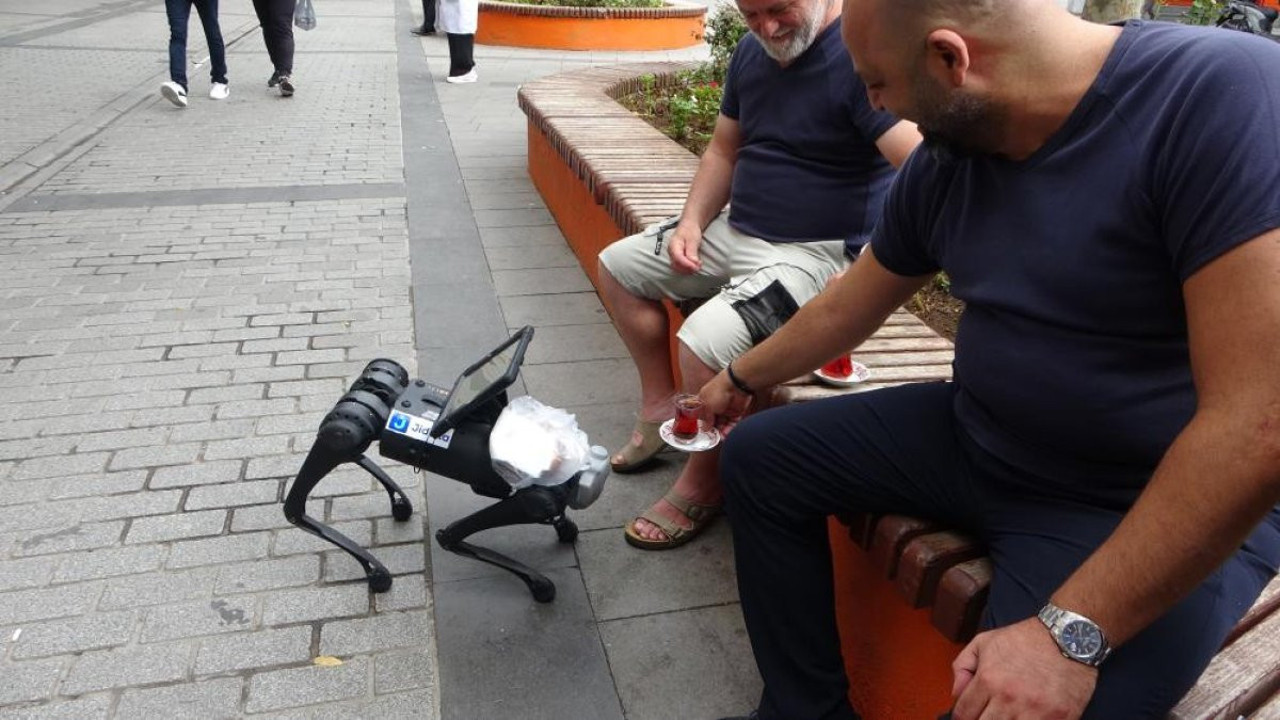 Pendik'te dolaşan robot köpeğin başına gelmeyen kalmadı 'Hoşt' diyen de oldu, çay-simit ikram eden de.