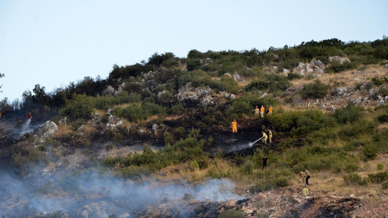 Kırkağaç’ta orman yangını