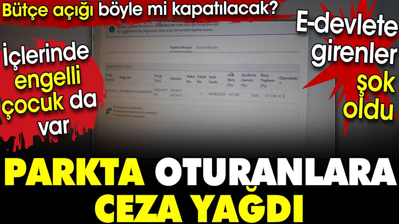 Parkta oturanlara ceza yağdı. Bütçe açığı böyle mi kapatılacak?