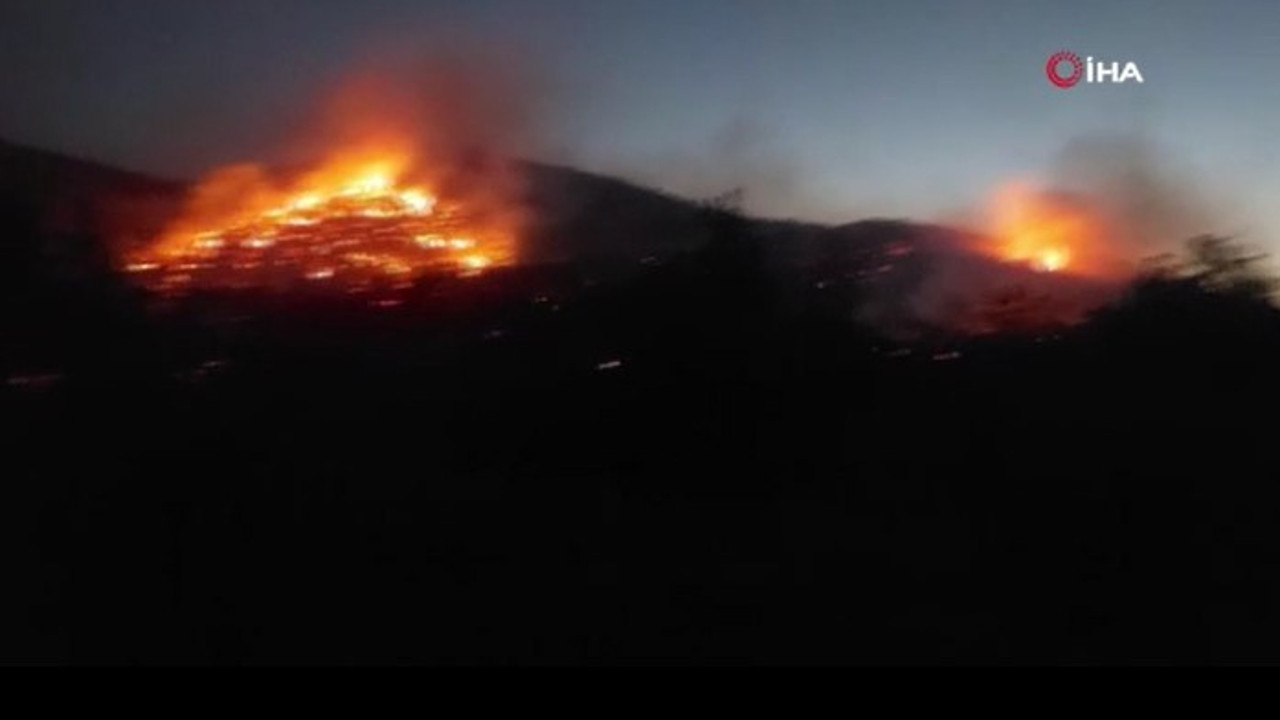 Ormanlık alanda çıkan yangın saatler sonra kontrol altına alındı