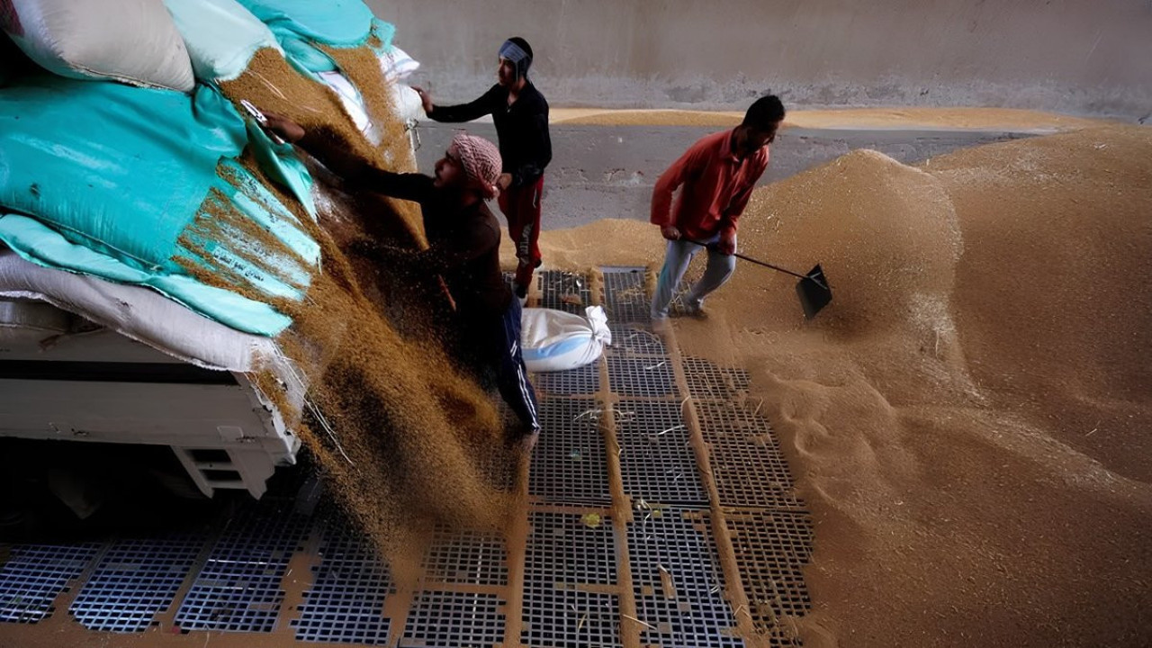 Mısır'ın buğday ithalatına BAE'den 500 milyon dolar fon desteği