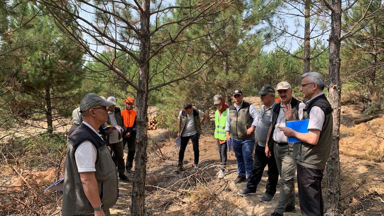 Domaniç ormanlarında tatbikat