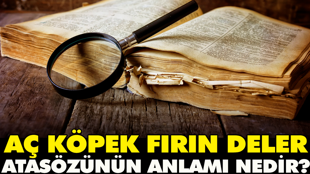 Aç köpek fırın deler atasözünün anlamı nedir?
