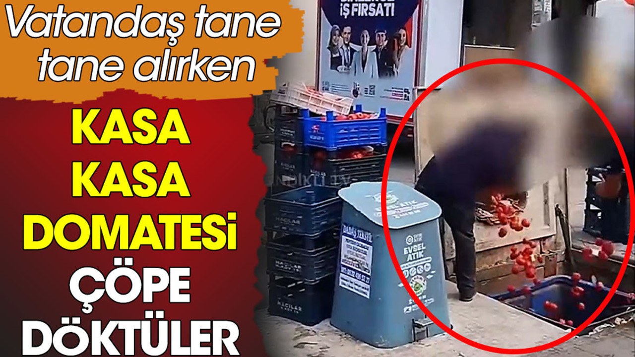 Kasa kasa domatesi çöpe döktüler. Vatandaş ise tane tane satın alabiliyor