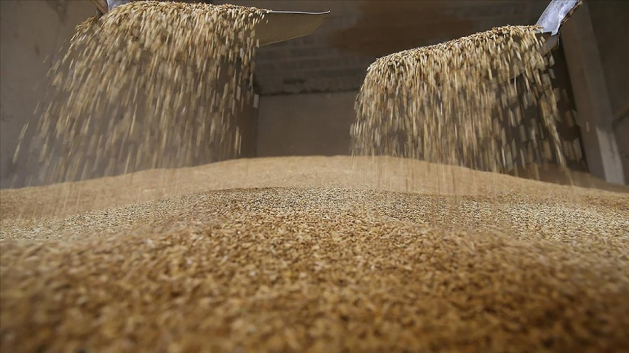 Toprak Mahsulleri Ofisi’nin aldığı hububat miktarı 8,7 milyon tona ulaştı