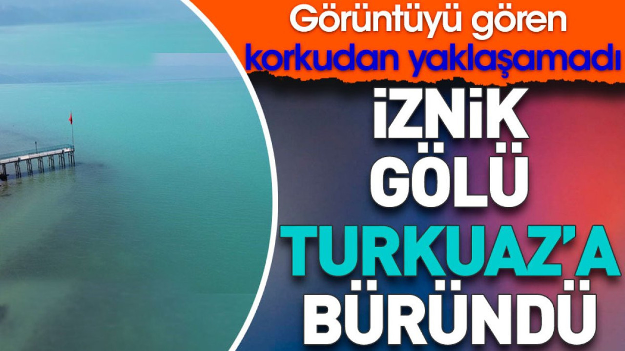 İznik Gölü Turkuaz'a büründü. Görüntüyü göre korkudan yanaşamadı