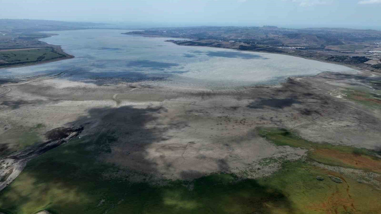 İstanbul kurudu. Suyun yerini otlayan koyunlar ve plastik poşetler aldı