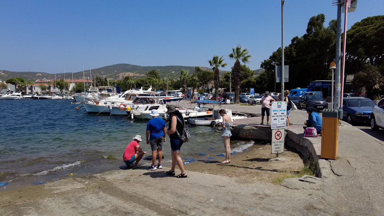 Kimse ayağını denize bile sokamadı. İzmir Foça'da büyük korku. Plajlar bile boş kaldı