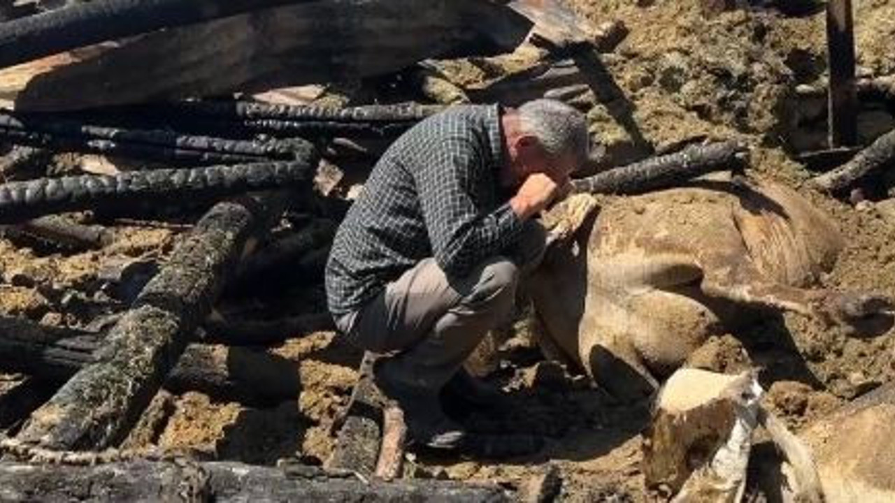 Köylü tüm birikimini bir gecede kaybetti. Gözyaşları yürek parçaladı.
