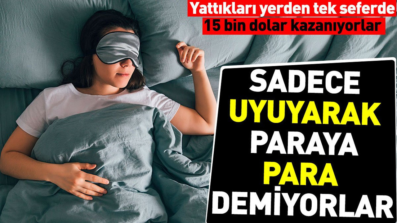 Sadece uyuyarak paraya para demiyorlar