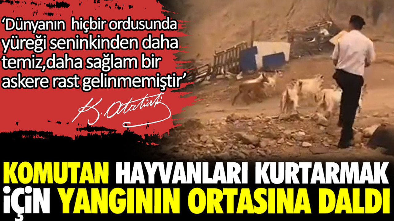 Komutan hayvanları kurtarmak için yangının ortasına daldı